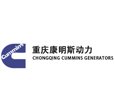 200千瓦重慶康明斯柴油發(fā)電機(jī)組
